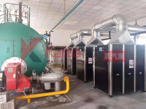 真低氮選凱大 食品廠4臺1t超低氮變頻蒸汽源機(jī)組完美替換4t傳統(tǒng)燃?xì)忮仩t及防雷箱應(yīng)用